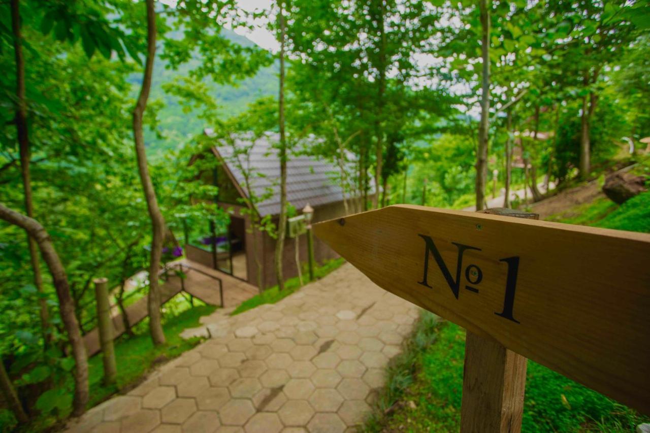 Woodpecker Ვუდფექერი Villa Batumi Ngoại thất bức ảnh