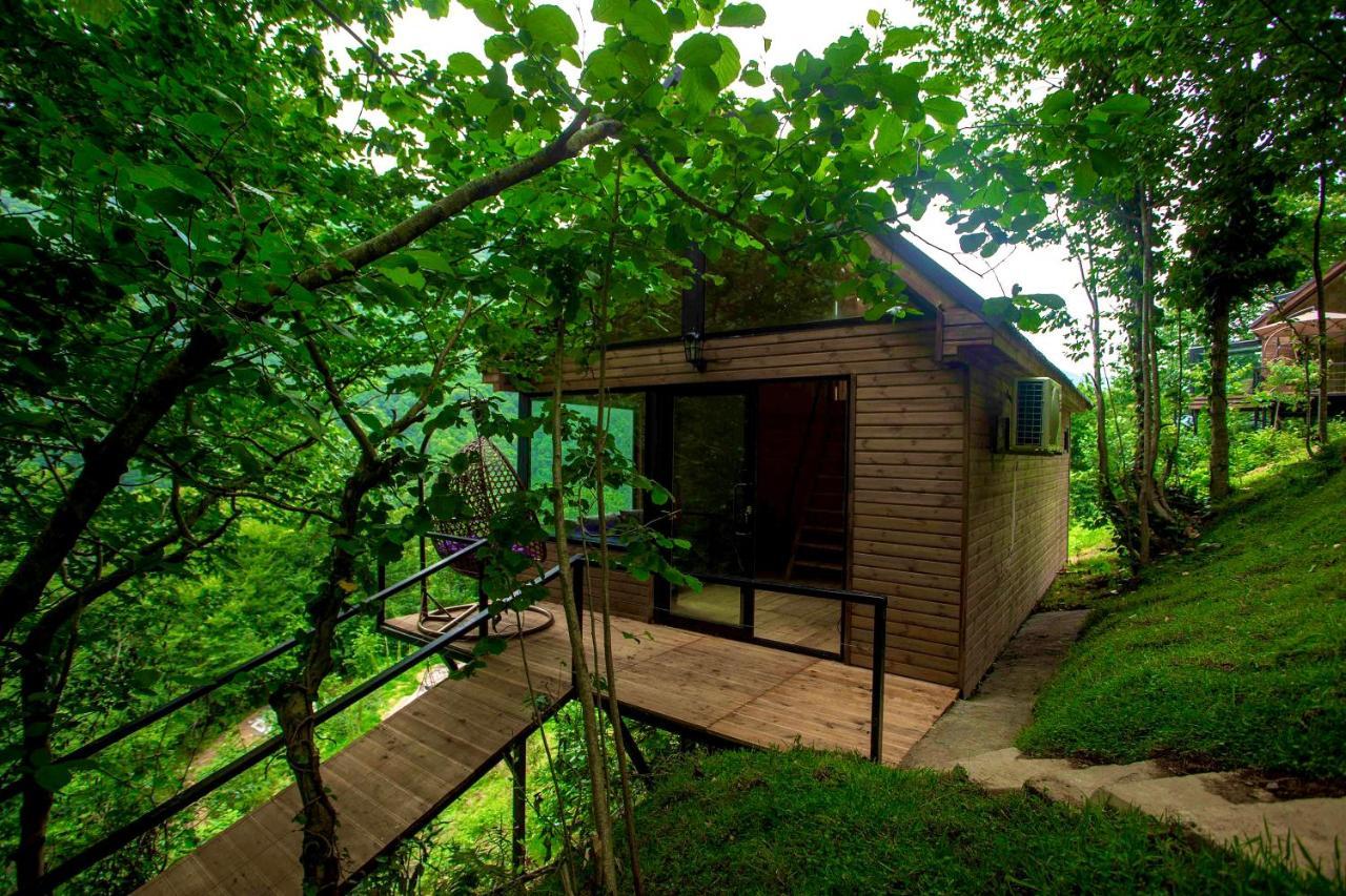 Woodpecker Ვუდფექერი Villa Batumi Ngoại thất bức ảnh
