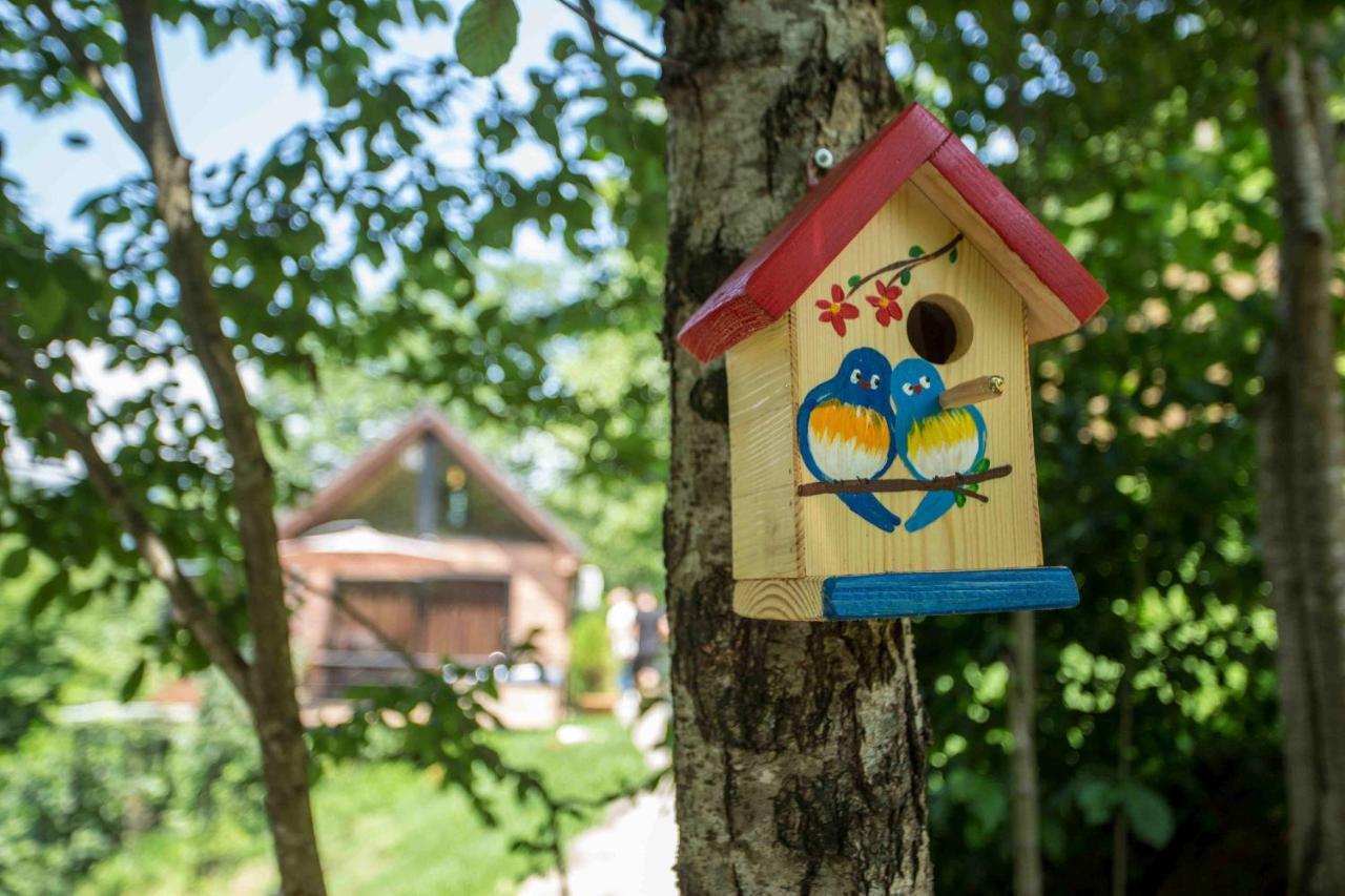 Woodpecker Ვუდფექერი Villa Batumi Ngoại thất bức ảnh
