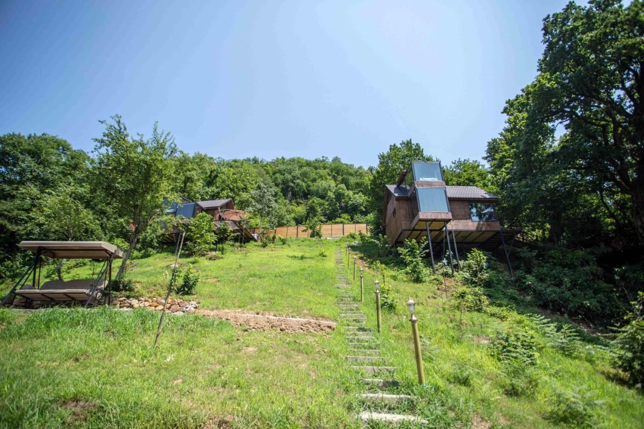 Woodpecker Ვუდფექერი Villa Batumi Ngoại thất bức ảnh