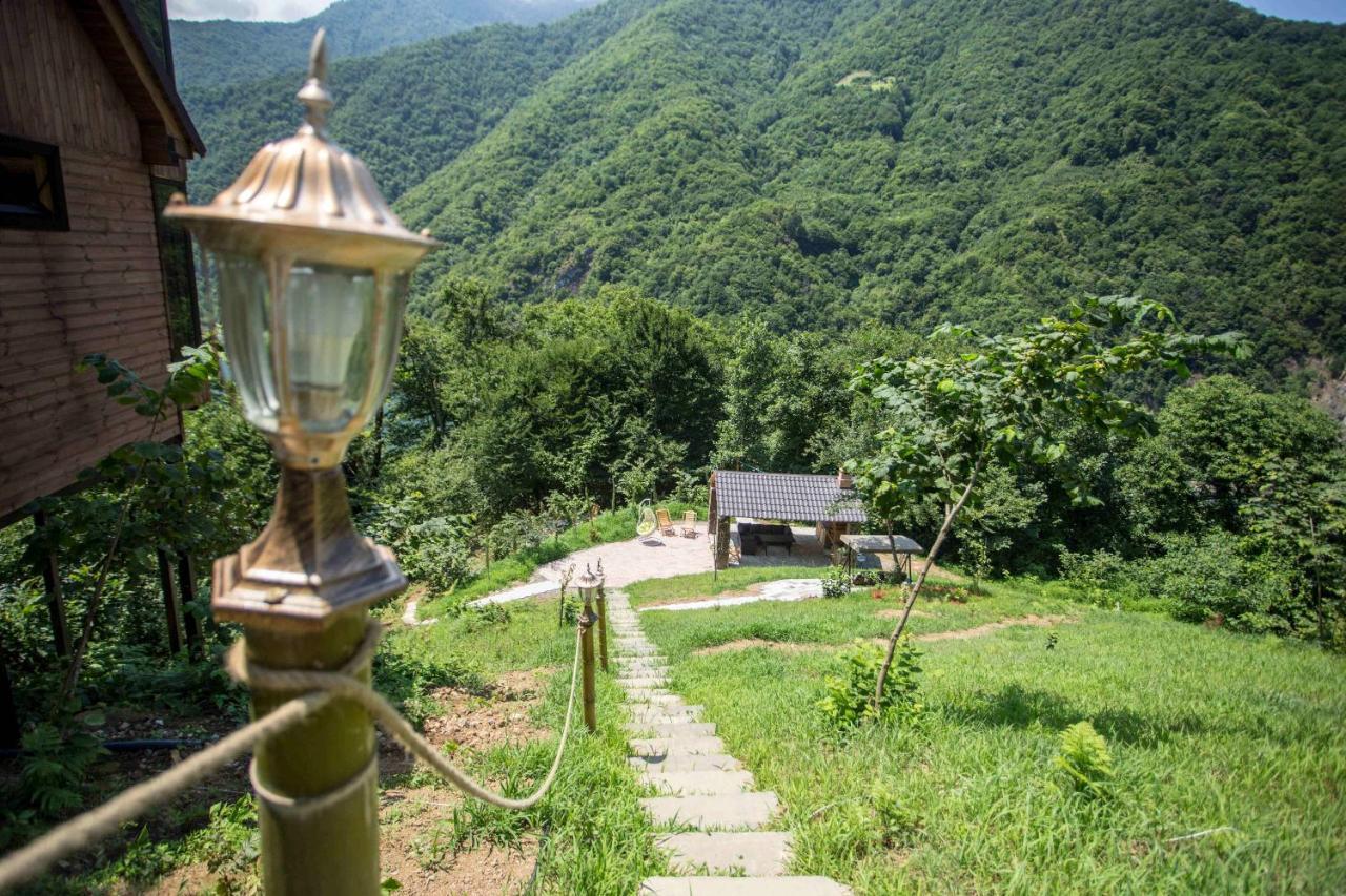 Woodpecker Ვუდფექერი Villa Batumi Ngoại thất bức ảnh