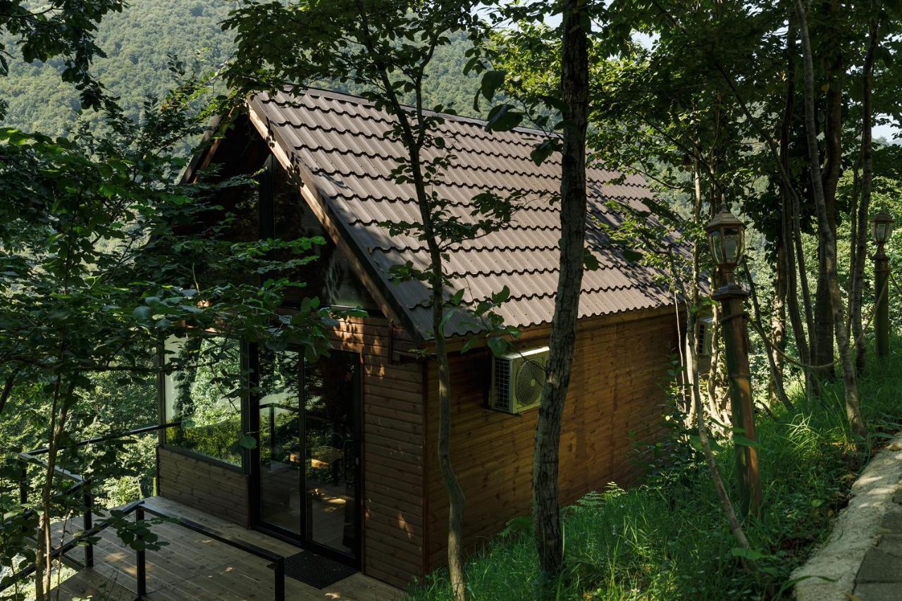 Woodpecker Ვუდფექერი Villa Batumi Ngoại thất bức ảnh