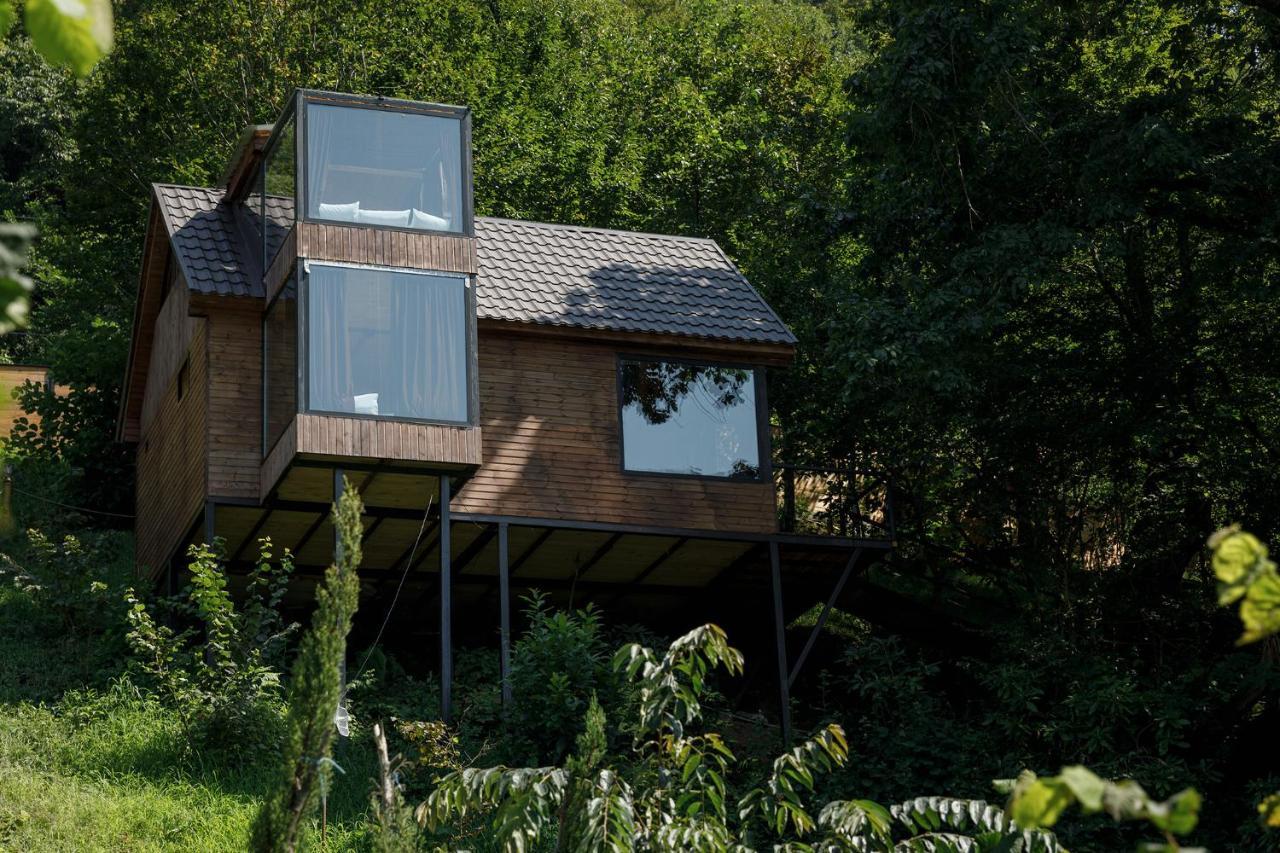 Woodpecker Ვუდფექერი Villa Batumi Ngoại thất bức ảnh