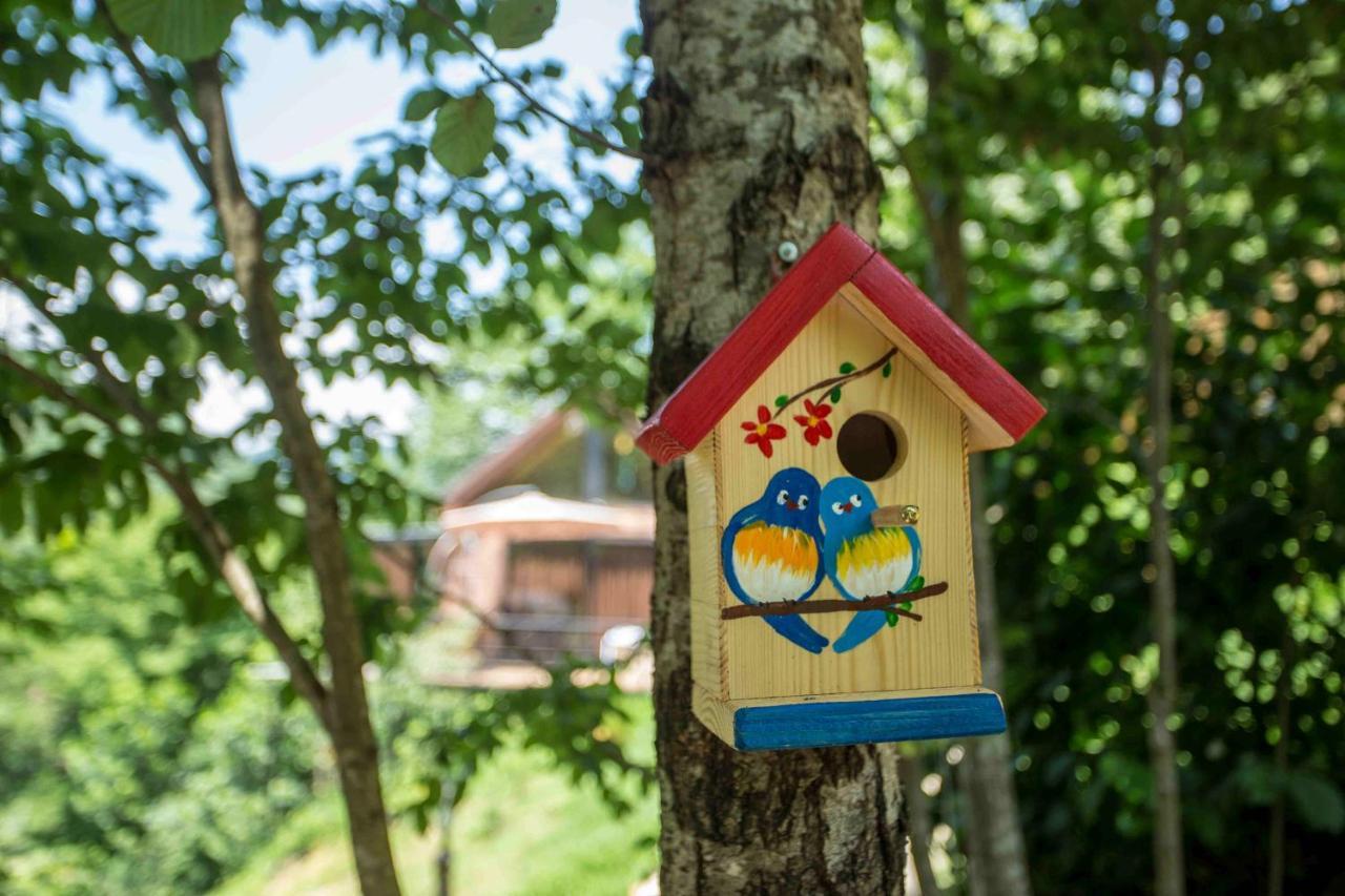 Woodpecker Ვუდფექერი Villa Batumi Ngoại thất bức ảnh