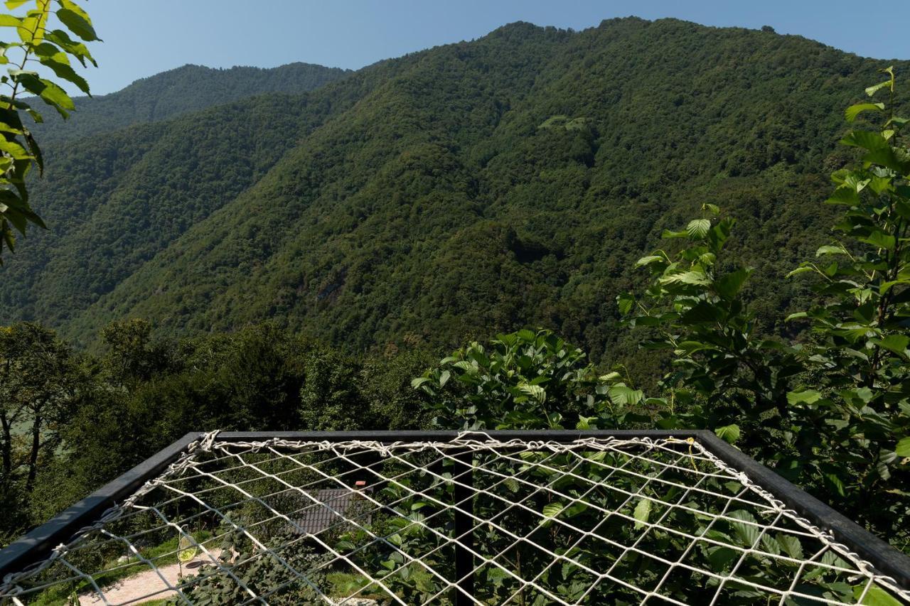 Woodpecker Ვუდფექერი Villa Batumi Ngoại thất bức ảnh