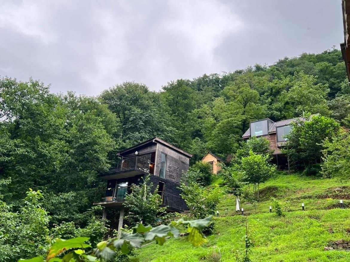 Woodpecker Ვუდფექერი Villa Batumi Ngoại thất bức ảnh